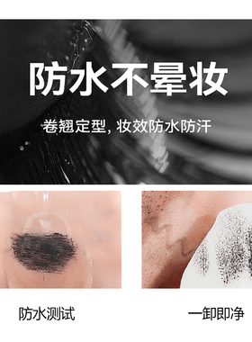 DDK臻灵眸纤密卷翘睫毛膏卷翘眼防水防汗不易晕染自然卷翘