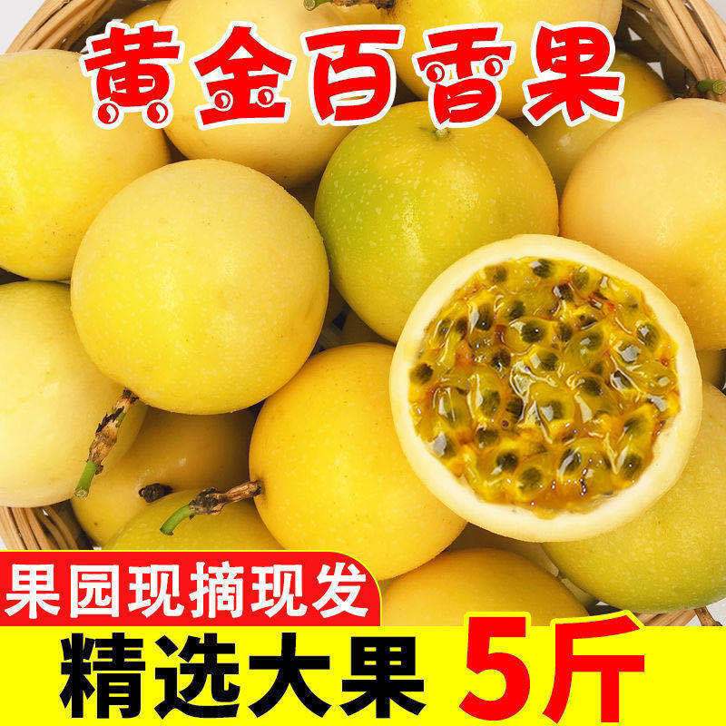 福建黄金百香果新鲜现摘黄色鲜果图片_1
