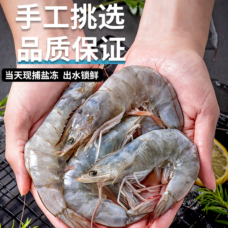 大虾鲜活冷冻超大3040海捕盐冻大虾新鲜速冻水产海鲜厄尔多瓜白虾 - 图0