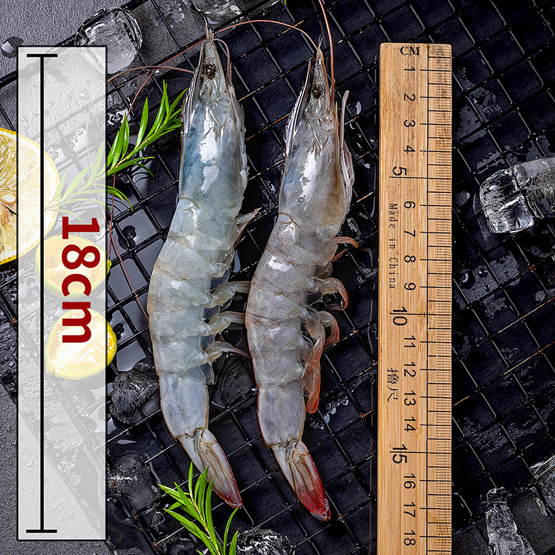 大虾鲜活冷冻超大3040海捕盐冻大虾新鲜速冻水产海鲜厄尔多瓜白虾 - 图1