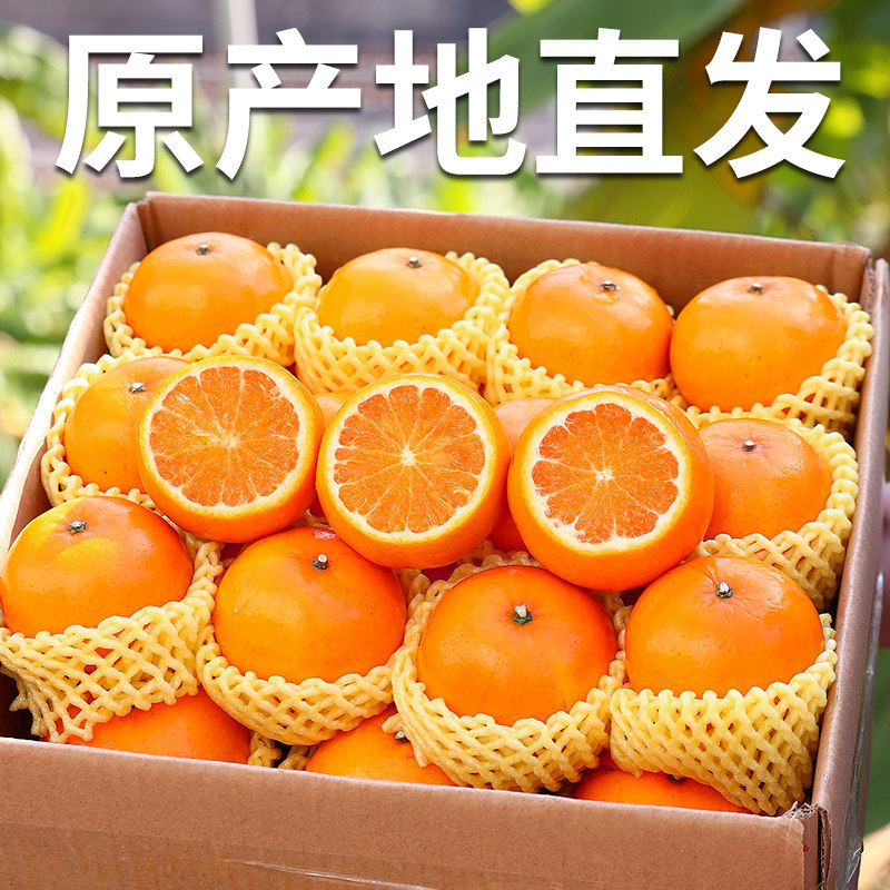 正宗云南高原沃柑9斤新鲜现摘当季蜜桔砂糖橘一级纯甜皇帝蜜柑橘