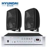 Modern Wall Sound Voice Shop Shop Special Bluetooth Indoor Commercial Supermarket Store Store Store Wanging Wall Wireless Store -Style Home 3D Curround Bass Bass Founal Music Spearge