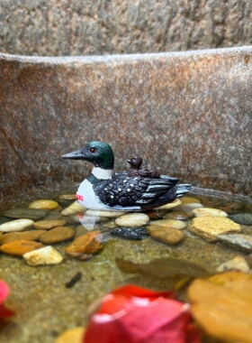 仿真鸭子造景装饰摆件