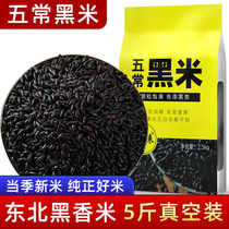 Northeast Five regular black rice 2023 New rice groceries Pregnant Woman Great Red Rice Purple Sticky Rice Brown Rice Fragrant Rice Official Flagship Store
