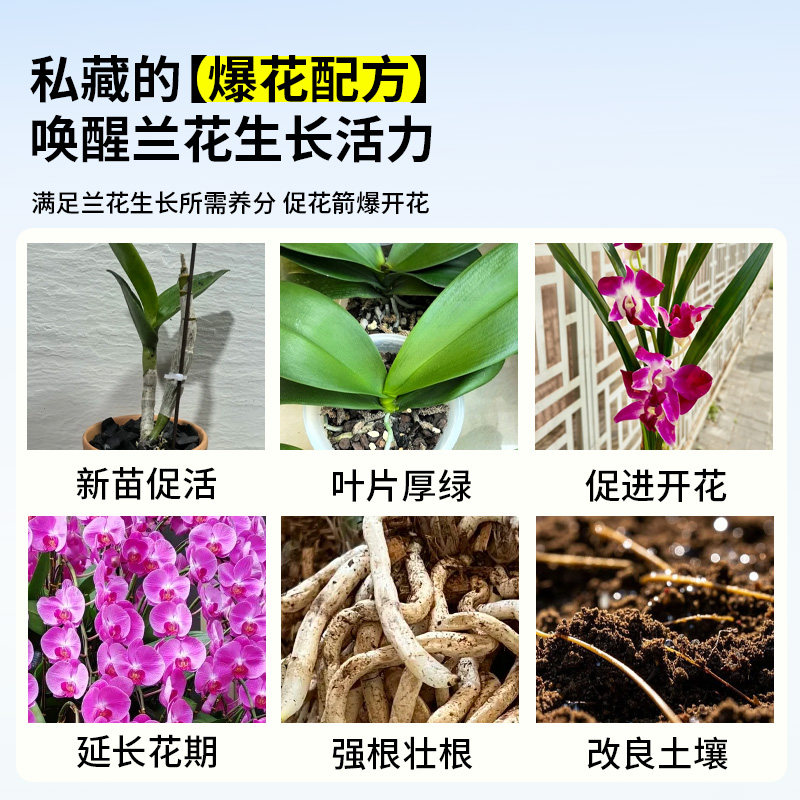 兰灵王兰花专用促花活化剂营养液肥料兰灵王君子兰蝴蝶兰石斛兰科,淘宝优惠券,粉丝福利购,淘宝优惠卷