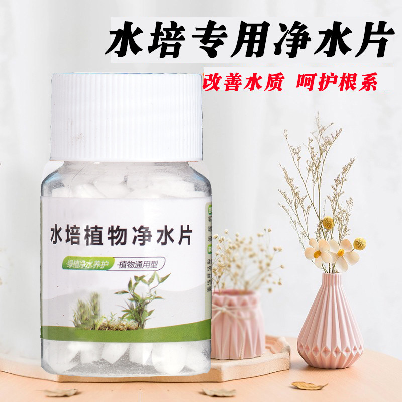 水培植物净水片鲜花花卉保鲜剂不臭水碗莲专用杀菌消毒片净化水质,淘宝优惠券,粉丝福利购,淘宝优惠卷