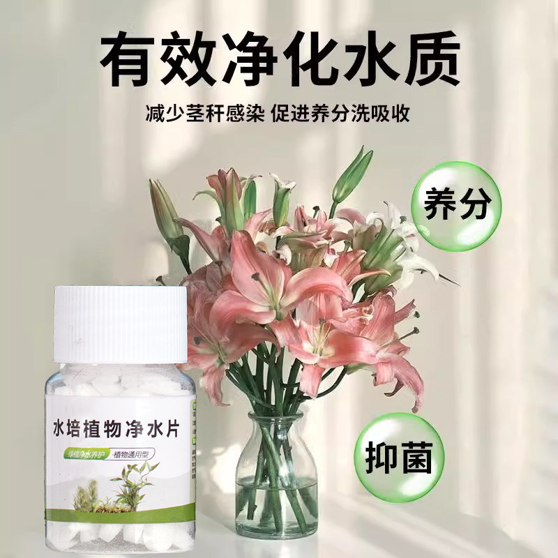 水培植物净水片鲜花花卉保鲜剂不臭水碗莲专用杀菌消毒片净化水质,淘宝优惠券,粉丝福利购,淘宝优惠卷