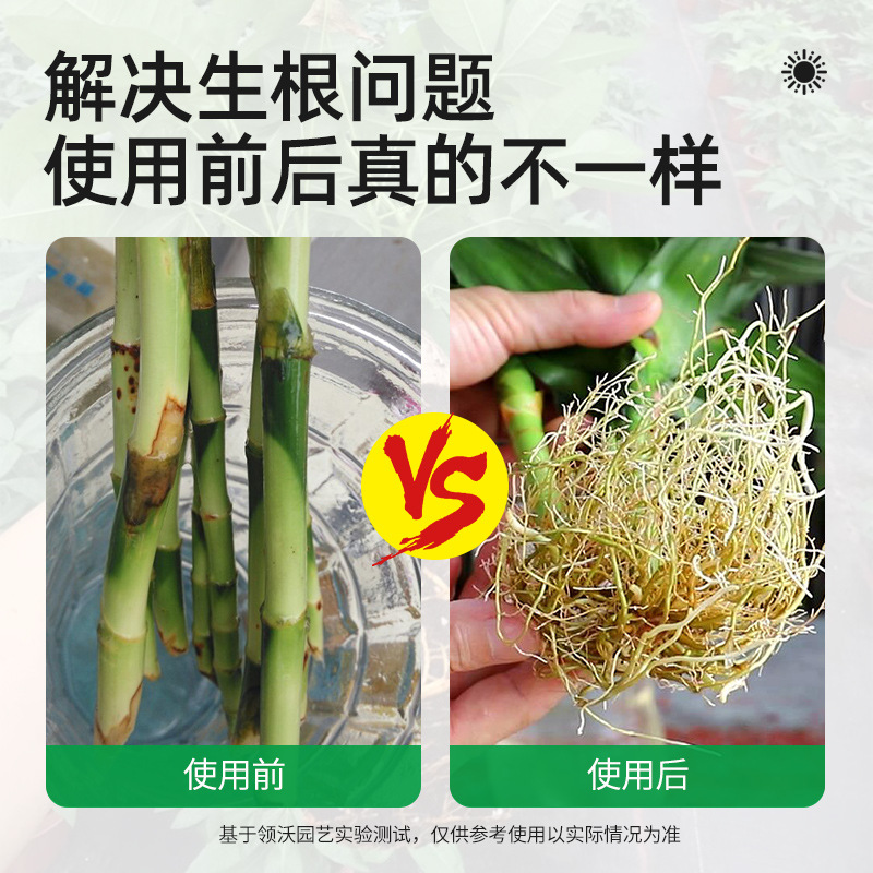 强力生根粉果树木移栽扦插壮苗剂绿植养花卉肥料植物通用型营养液 - 图3