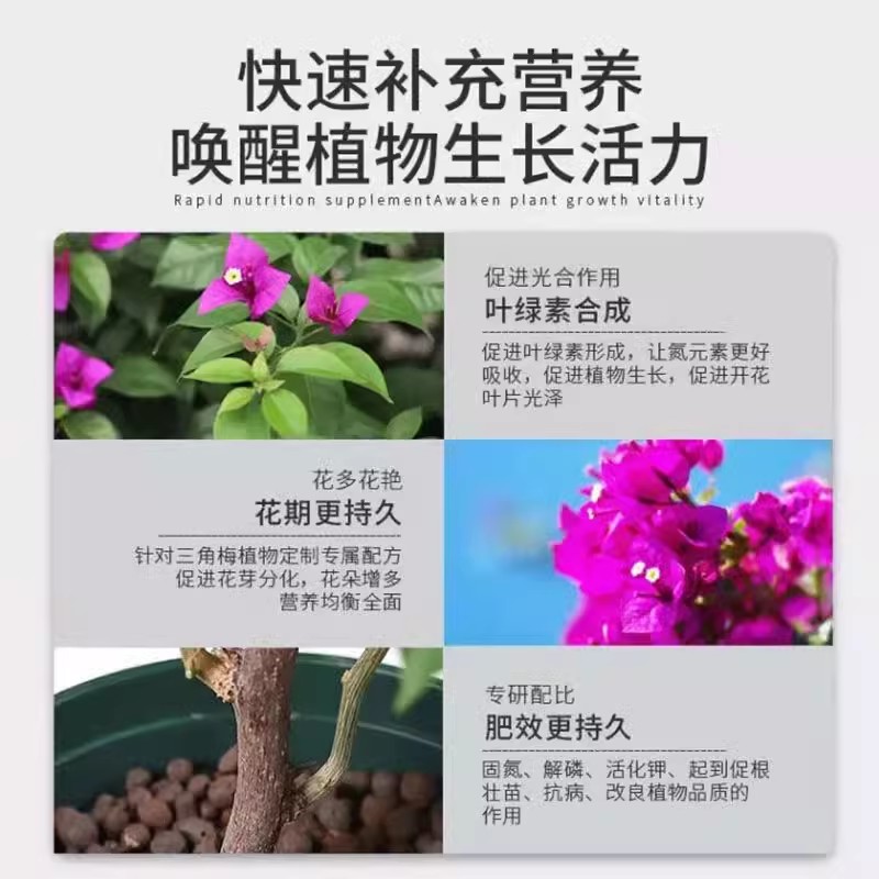 三角梅专用开花有机肥促花爆花骨粉复合肥料促进开花养花枝繁叶茂