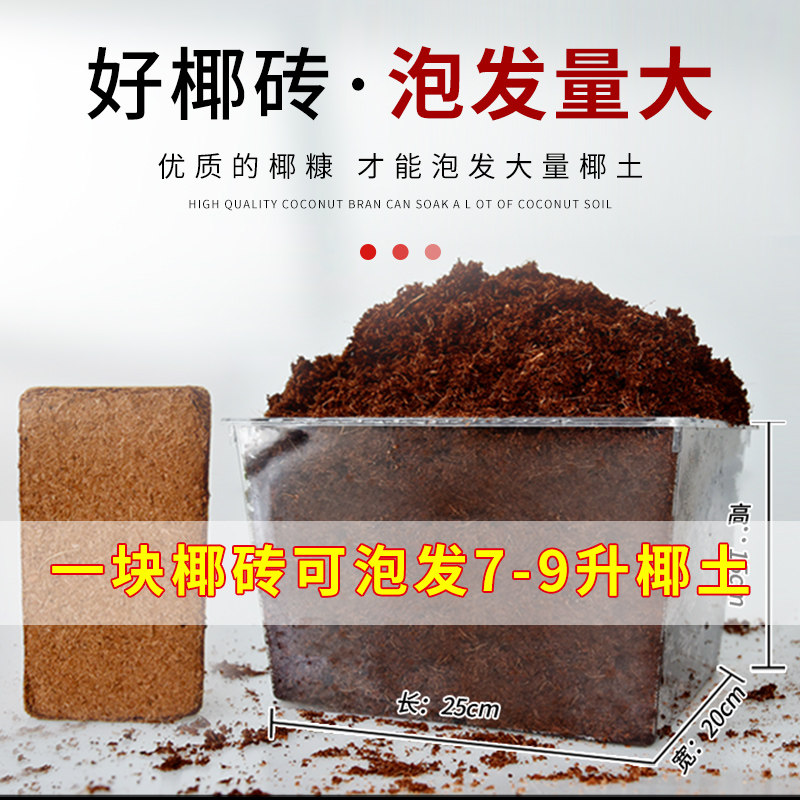 椰砖营养土通用型椰土壤椰糠粗椰壳种花养花种菜种植脱盐大块耶砖