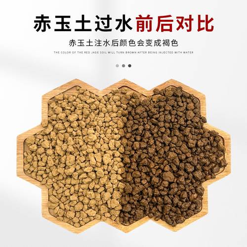 三本线赤玉土日本进口盆景专用硬质颗粒爬宠多肉铺面石扦插营养土 - 图2