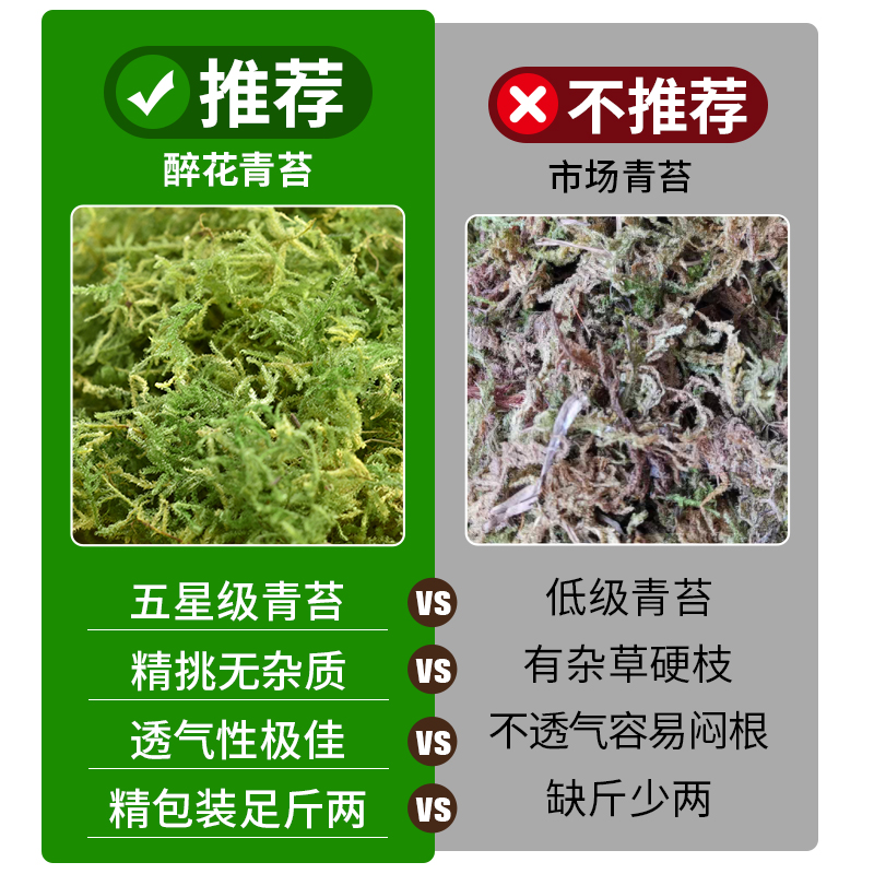 干苔藓水苔纯天然青苔兰花蝴蝶兰石斛种植专用营养土爬宠乌龟垫材-图0