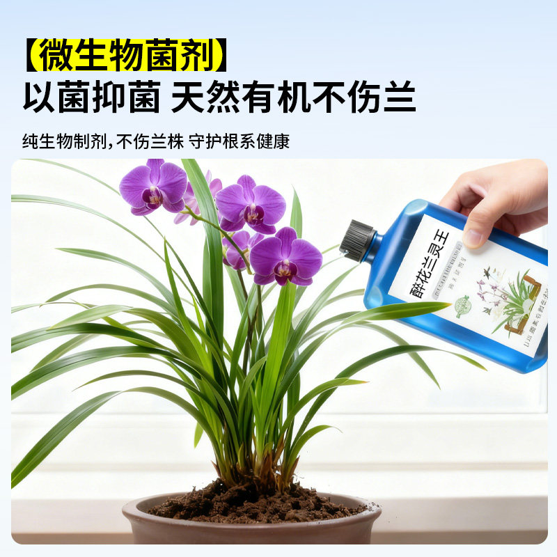 兰灵王兰花专用促花活化剂营养液肥料兰灵王君子兰蝴蝶兰石斛兰科,淘宝优惠券,粉丝福利购,淘宝优惠卷
