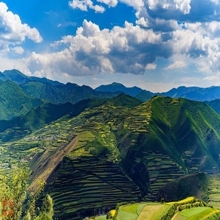 青海包车塔尔寺青海湖茶卡盐湖莫高窟张掖西宁