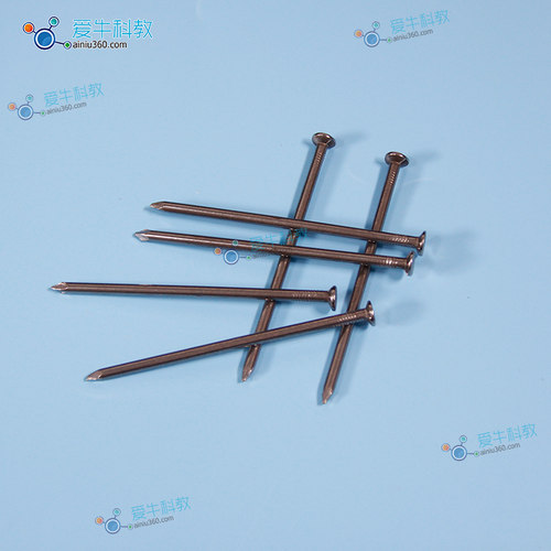 小学科学电磁专用铁钉10cm/5cm实验工具电磁类教学仪器 - 图2