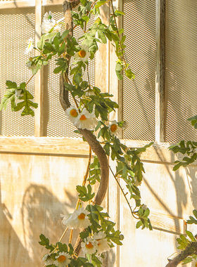 木质幼儿园环创材料自然风植物角