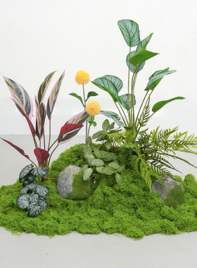 仿真绿植造景假苔藓青苔植物装饰摆放室内玄关阳台微景观草布置