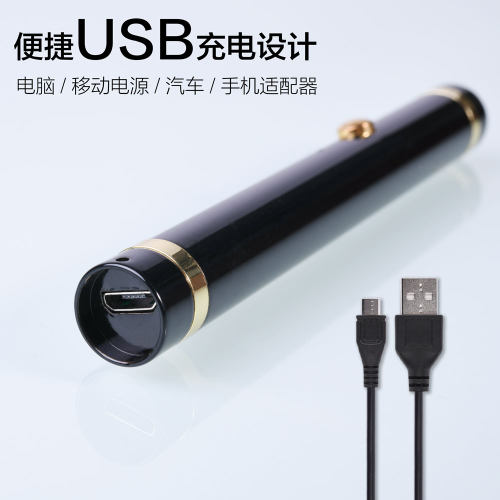 励博沙盘射笔售楼部指示灯楼盘红外线绿光射笔快充usb充电长续航教务演练讲解教学激光笔观星指示器 - 图1