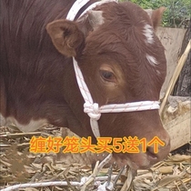 Bolted Bull Rope Tether Special Rope Tethered Goat Special Rope Bolted Bull Rope Special Bull Rope neck Bull Rein