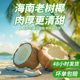 4Jin Jin is equal to 0.5kg bagged Hainan coconut meat fresh ready-to-eat coconut chicken soup ingredients commercial vacuum golden coconut meat cubes for juicing