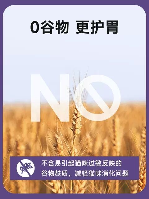 麦富迪鲜肉猫粮2kg新鲜鸡肉0谷物麸质王子夹心不掉毛食堂低盐大袋