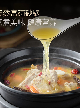 摩飞电炖锅电砂锅药膳富硒砂锅
