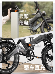 GDANNY×正步新款可折叠电动车越野山地车电助力自行车代步车成人