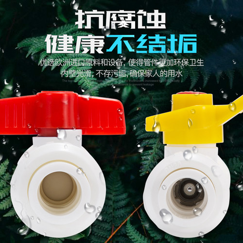 顶建双活接全塑球阀加厚20 25 32 40 50PPR水管配件自来水管阀门 - 图1