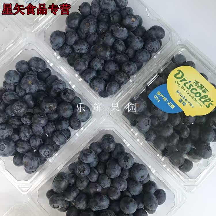 乐鲜果园当季高原新鲜怡颗莓蓝莓4 星矢食品蓝莓