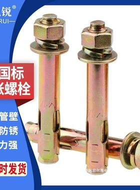 正国标膨胀螺丝10mm镀锌膨胀螺栓拉爆螺丝膨胀8mm带孔胀栓