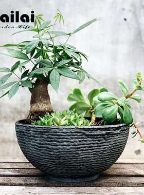 工厂睡莲塑料花盆荷花园艺园林育苗水养水培盆景大碗花盆景观