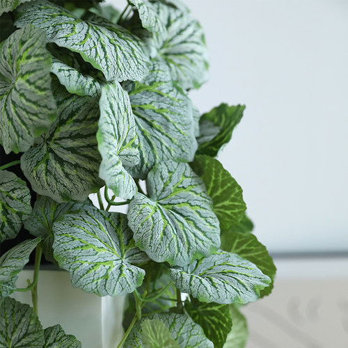 泰环 ins北欧风仿真藤蔓植物假盆栽造景客厅绿植摆件橱窗店面装饰 - 图3