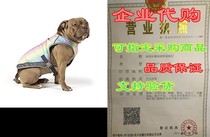 Canada Poch of the Canada Poch) The Chill Seeker Dog Cooling Vest) The Water Evap