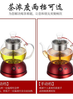 多功能煮茶器安化黑茶电热玻璃全自动蒸汽花茶家用无胶无养生壶