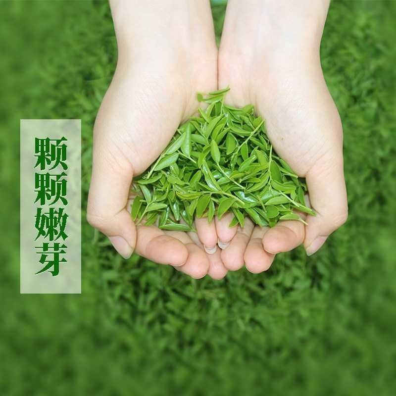 野生酸枣芽茶泰山酸枣叶茶睡眠早春新茶手工炒制酸枣仁正宗芽头茶 - 图2