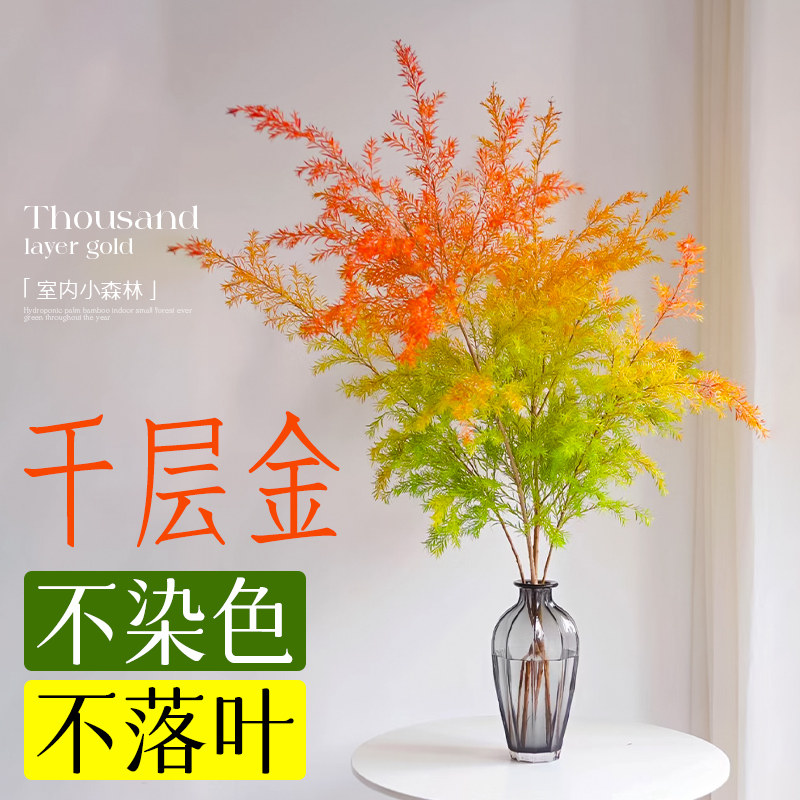 千层金鲜花桌面水培绿植黄金香柳花束鲜切花卉室内客厅插花永生花,淘宝优惠券,粉丝福利购,淘宝优惠卷