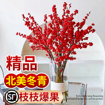 Boutique Imports North American Winter Youth Fresh Cut Branches water Flowers Bundles Red Fruits water to raise indoor Lunar New Year Flower Flowers Genuine Flowers