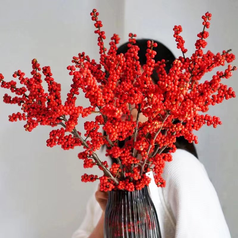 北美冬青红果鲜枝银柳年宵花卉绿植室内水培植物鲜花切枝盆栽真花,淘宝优惠券,粉丝福利购,淘宝优惠卷