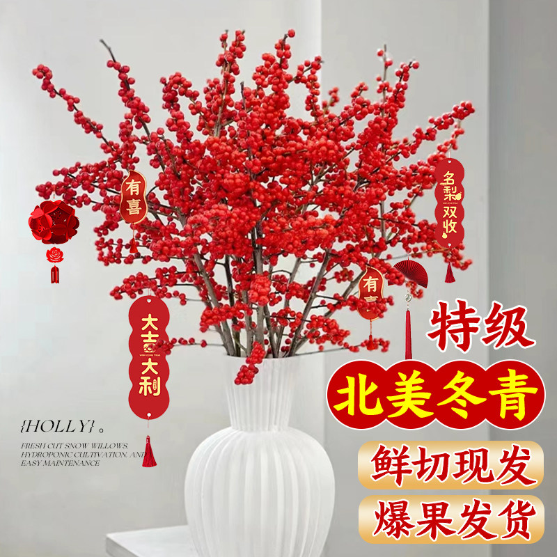 北美冬青红果鲜枝银柳年宵花卉绿植室内水培植物鲜花切枝盆栽真花,淘宝优惠券,粉丝福利购,淘宝优惠卷