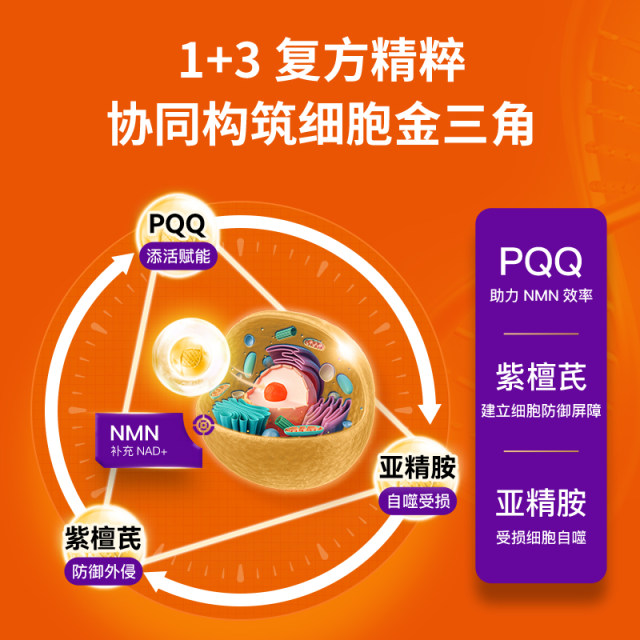 ຕົ້ນສະບັບນໍາເຂົ້າ NMN18000 spermidine pqq