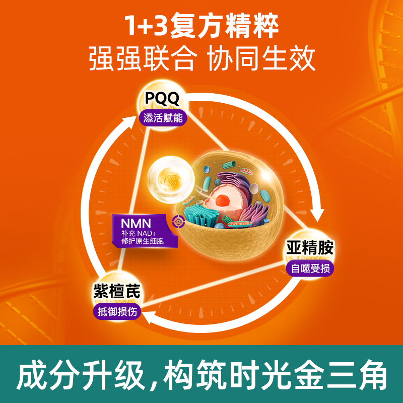 莱特维健金至因nmn18000nad补充剂PQQ亚精胺紫檀芪