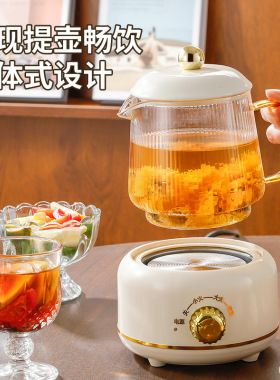 新款多功能养生杯迷你壶