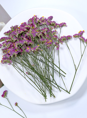 水晶草压花干花真花请柬信封装饰手工材料滴胶客厅相框摆件DIY