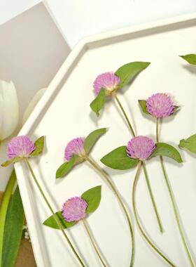 干花香薰蜡烛书签信封