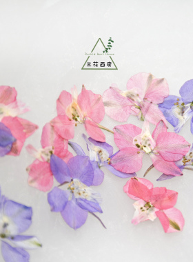 飞燕干天然押花标本贴脸妆