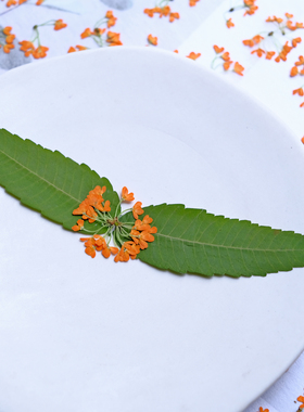 桂花干花压花丹桂真花标本橙色秋色花朵UV胶耳饰书签相框手工DIY