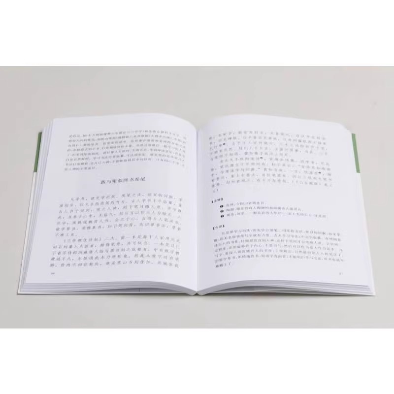 山谷书画论译注 历代书画名著译注丛书 黄庭坚山谷题跋书法字帖题跋集 杂学知识随笔文集 书法绘画艺术理论知识书籍上海书画出版社 - 图1