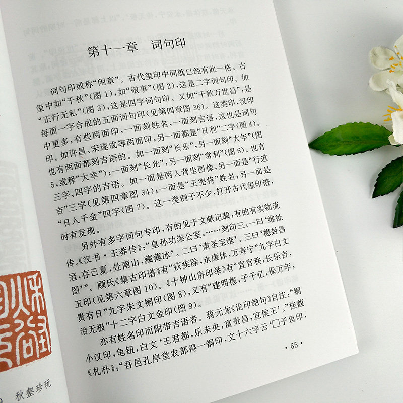 正版现货包邮 印学史 沙孟海 中国印章篆刻起源发展史印学派别名家工具技法篆书基础入门知识教程书古代印章鉴赏收藏图集西泠印社,淘宝优惠券,粉丝福利购,淘宝优惠卷