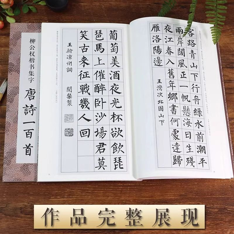 柳公权楷书集字唐诗宋词一百首古文名篇春联120副 玄秘塔碑神策军碑柳体楷书原碑帖集字创作对联古诗词作品毛笔书法入门临摹练字帖,淘宝优惠券,粉丝福利购,淘宝优惠卷