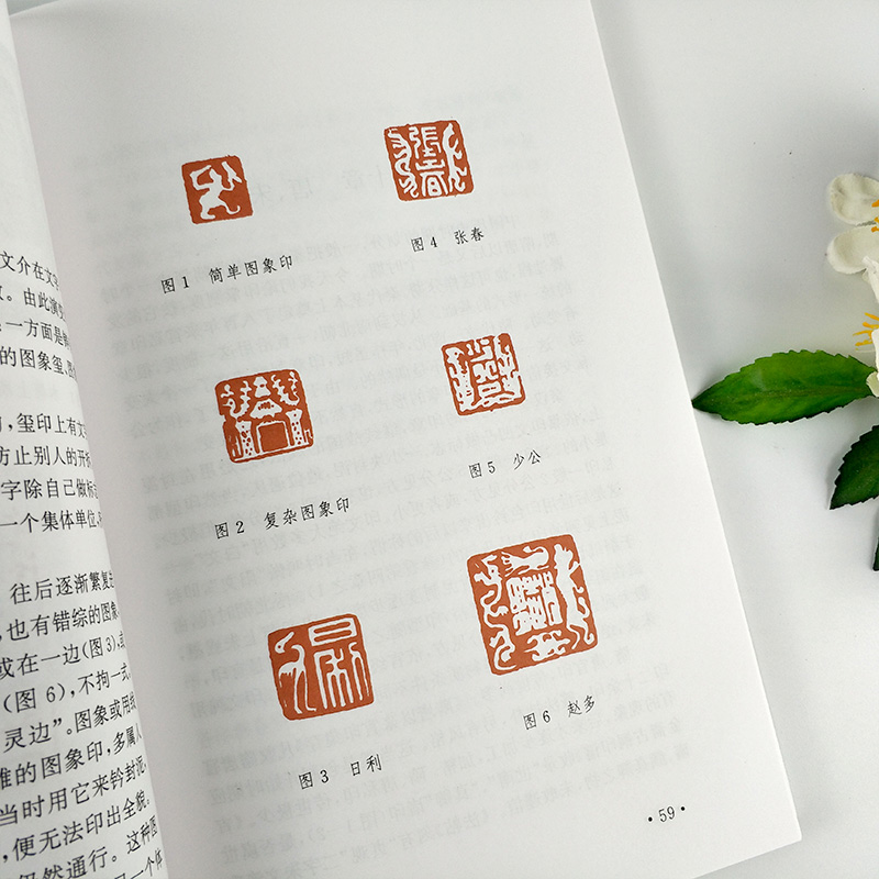 正版现货包邮 印学史 沙孟海 中国印章篆刻起源发展史印学派别名家工具技法篆书基础入门知识教程书古代印章鉴赏收藏图集西泠印社,淘宝优惠券,粉丝福利购,淘宝优惠卷